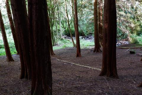 undefined, Otter Wood, Near Halfway, Powys LD3