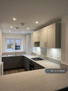 3 bedroom semi-detached house to rent, Ernest Webb Drive, Springfield, Chelmsford, CM1