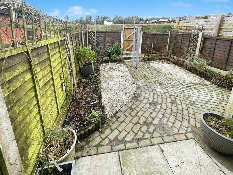 Rear Yard