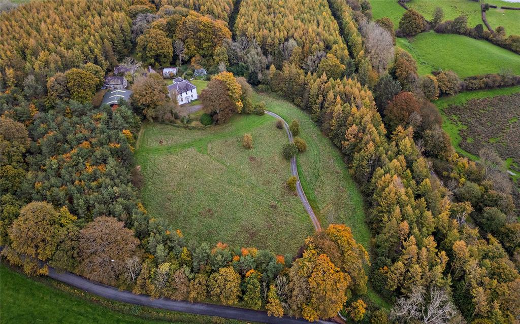Aerial