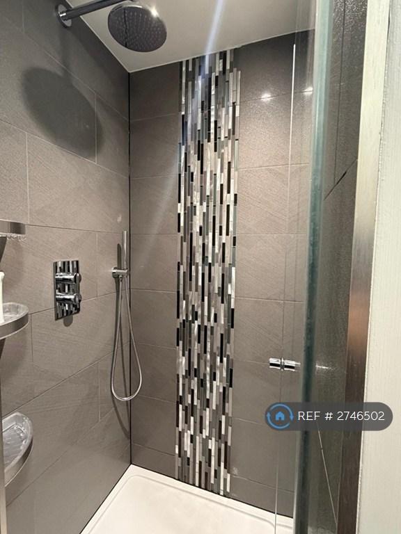 Separate Shower/Toilet