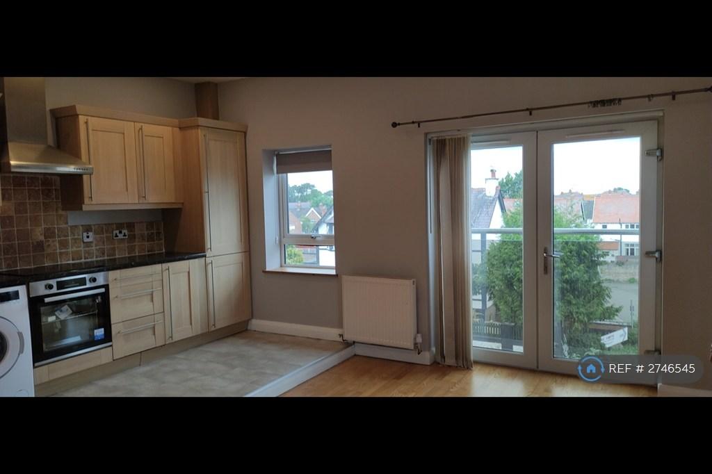 Kitchen/Living Area