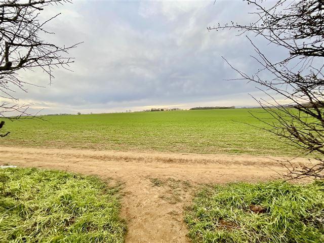 Open Fields