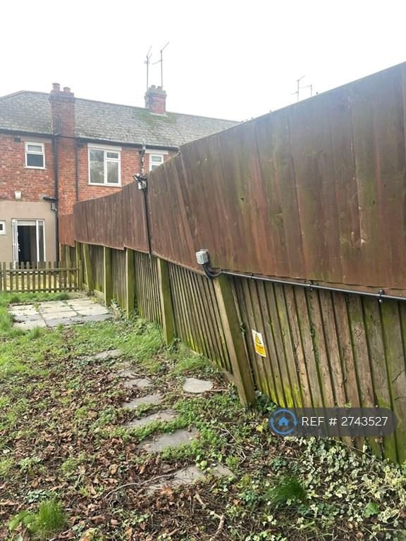 Back Garden