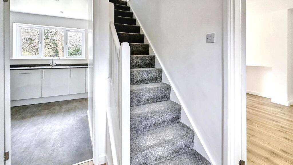 Bright, freshly painted hallway with a carpeted...