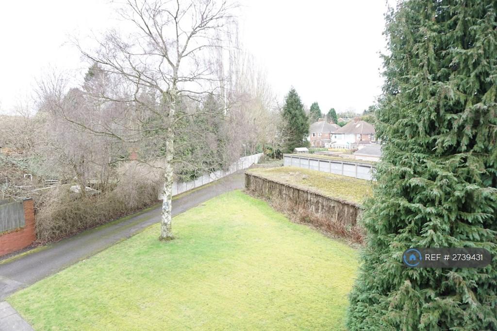 Back Garden View