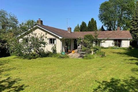undefined, Minchington, Blandford Forum, Dorset, DT11