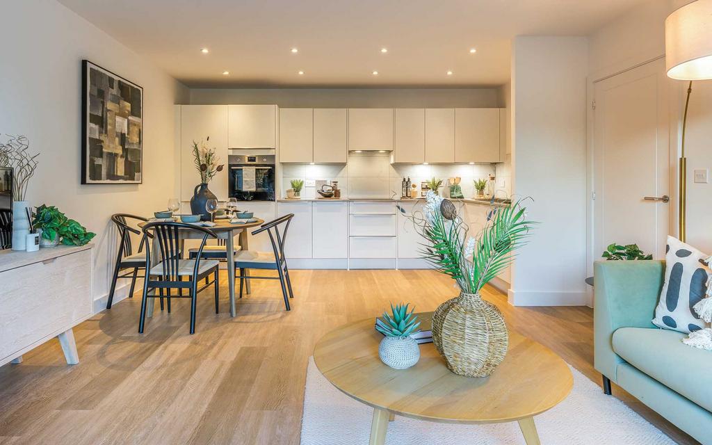 Kitchen/Living/Dining Room