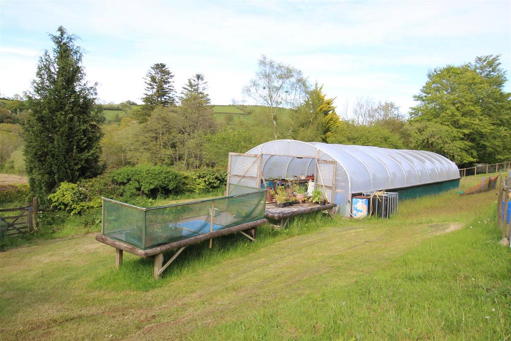 Polytunnel.JPG