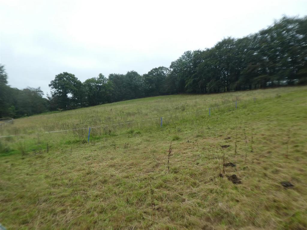 Paddocks (2).JPG
