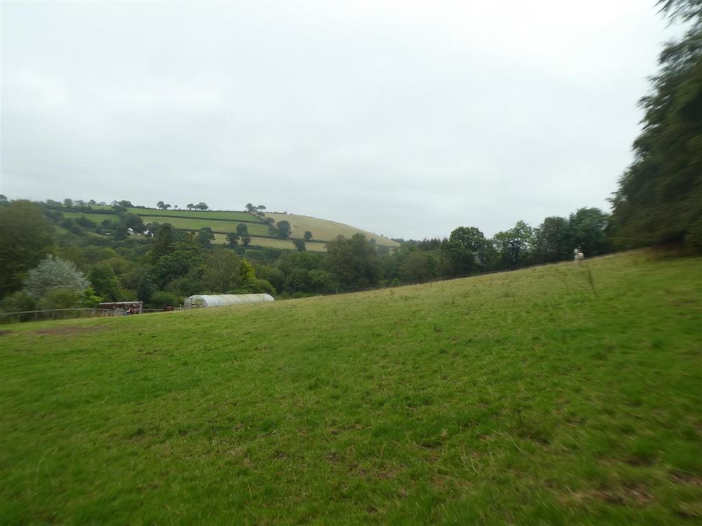 Paddocks.JPG