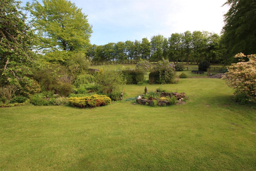 New gardens 2.JPG