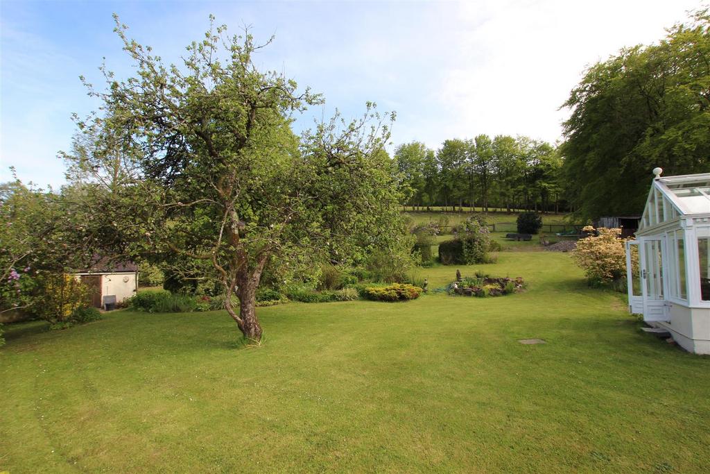 New gardens 3.JPG