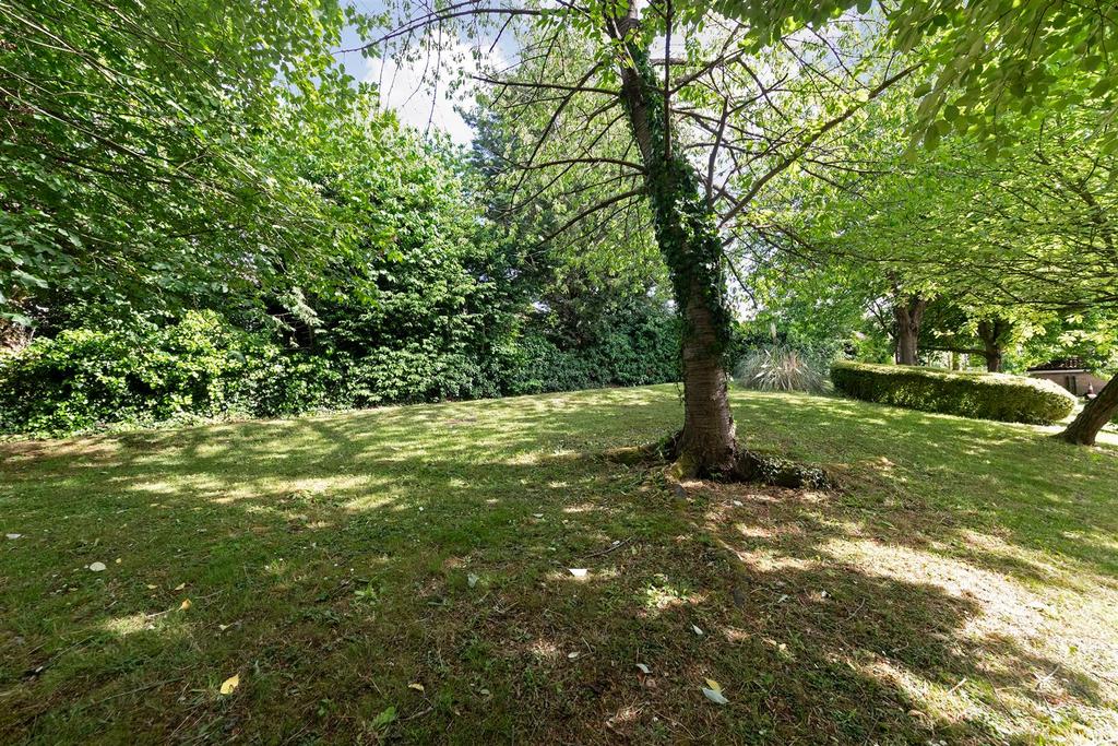 Communal Gardens