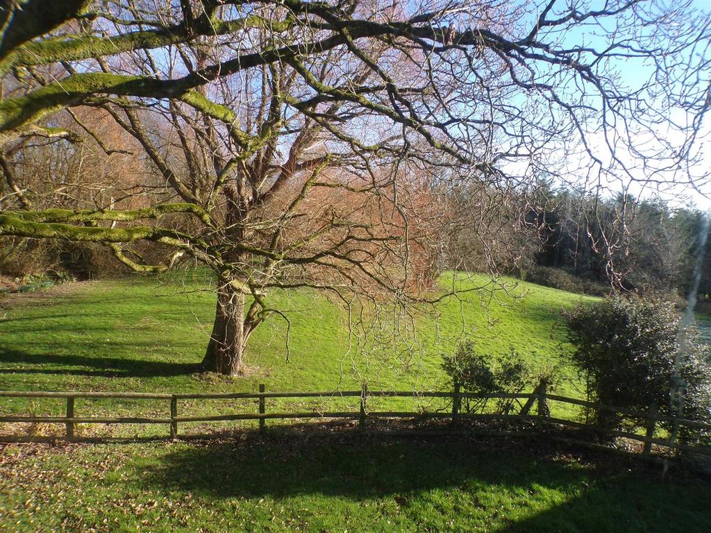 View.JPG