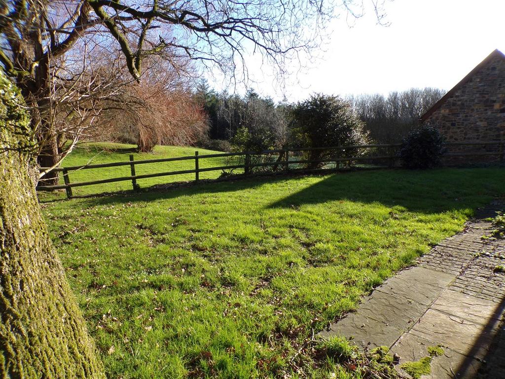 Garden.JPG