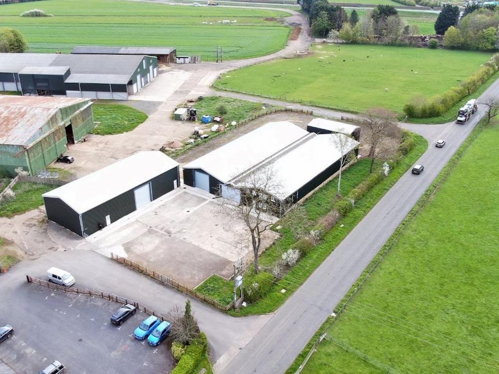 Dji 0407.jpg
