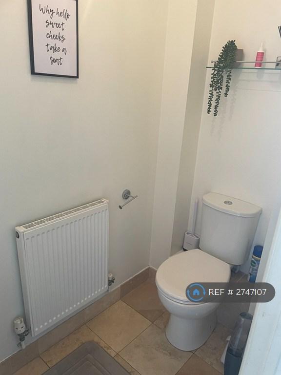 Downstairs Toilet