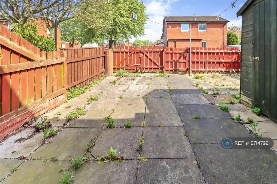 Back Garden