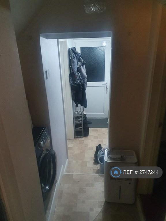 Double Glazer Back Door