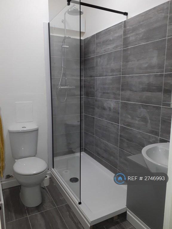 Toilet And Shower