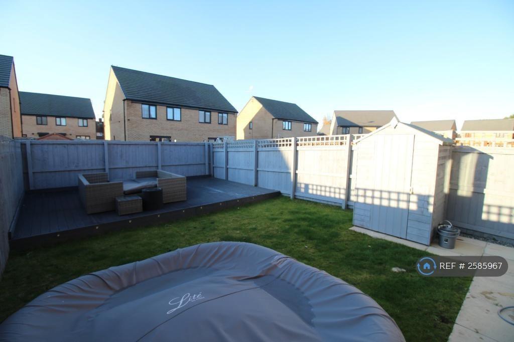Garden Area (Rear)