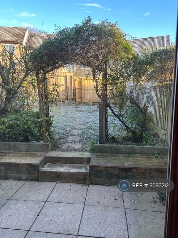 Back Garden