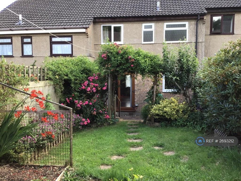 Back Garden