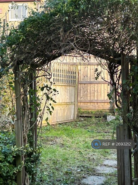 Back Garden