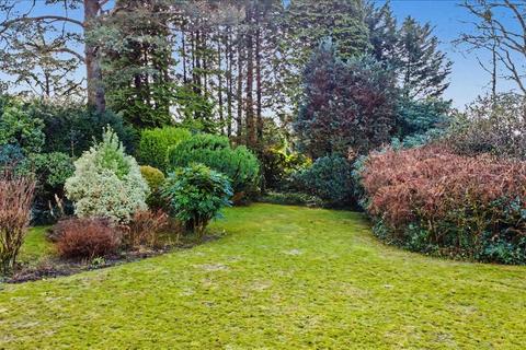 3 bedroom bungalow for sale, Bilberry Cottage, Hindhead