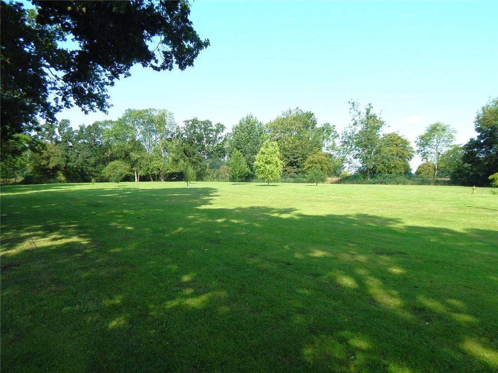 Grounds
