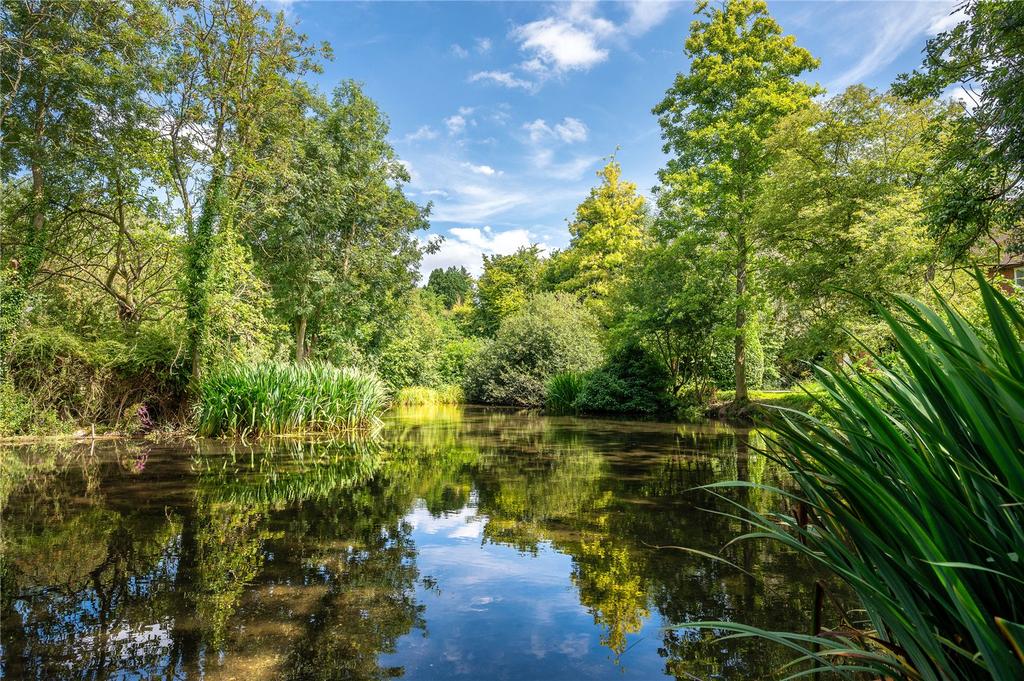 Kings Pond