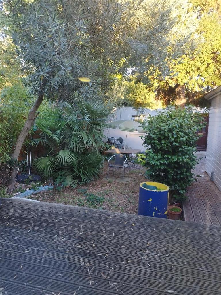 Shared Garden.jpg
