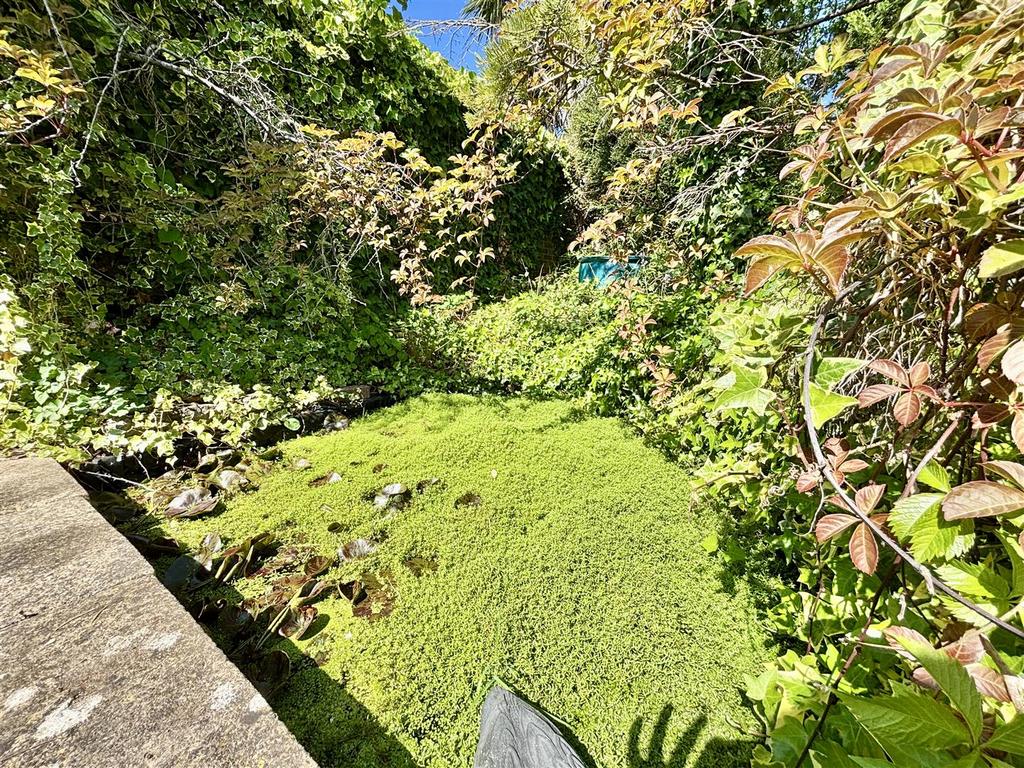 Pond