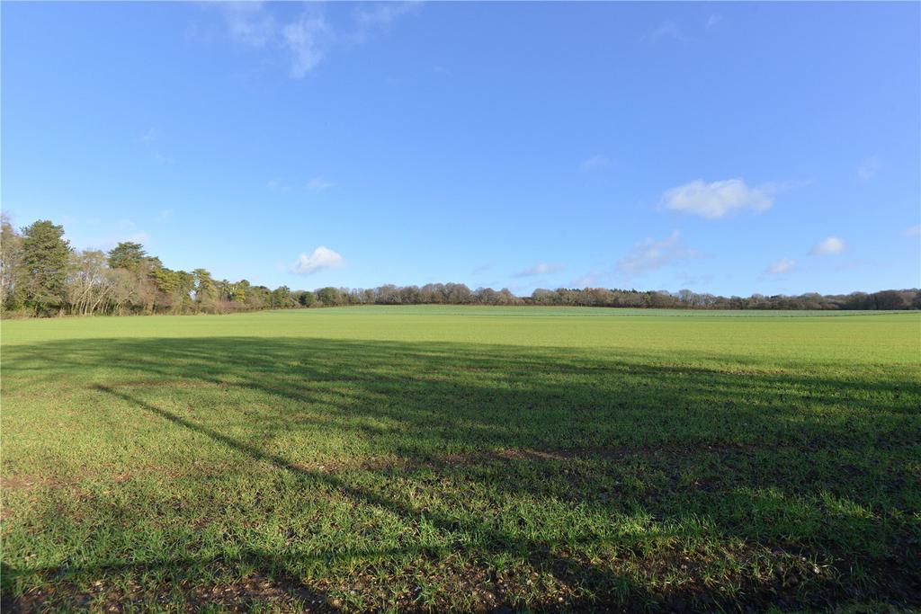 Outlook