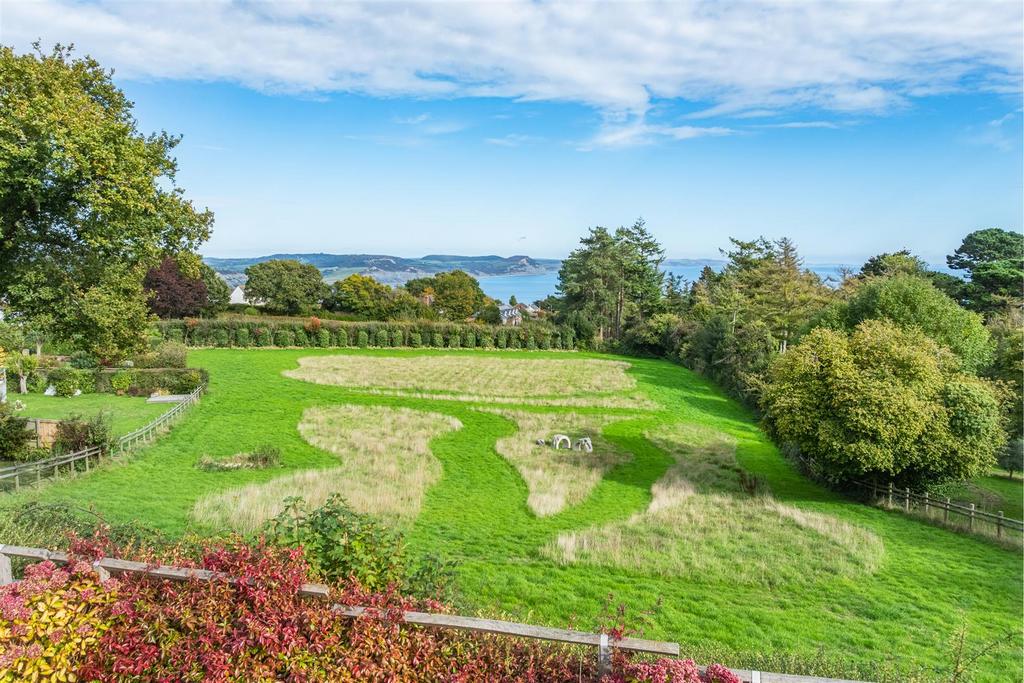 DJI 20250930155307 0045 D-HDR.jpg