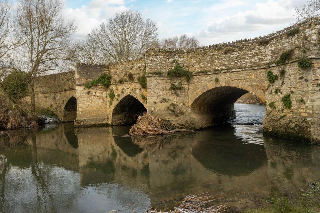 Bridge
