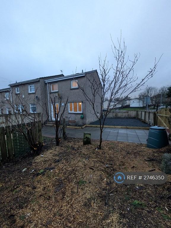 Rear Garden Area