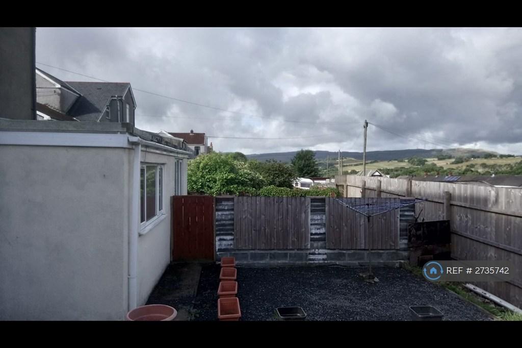 Back Garden