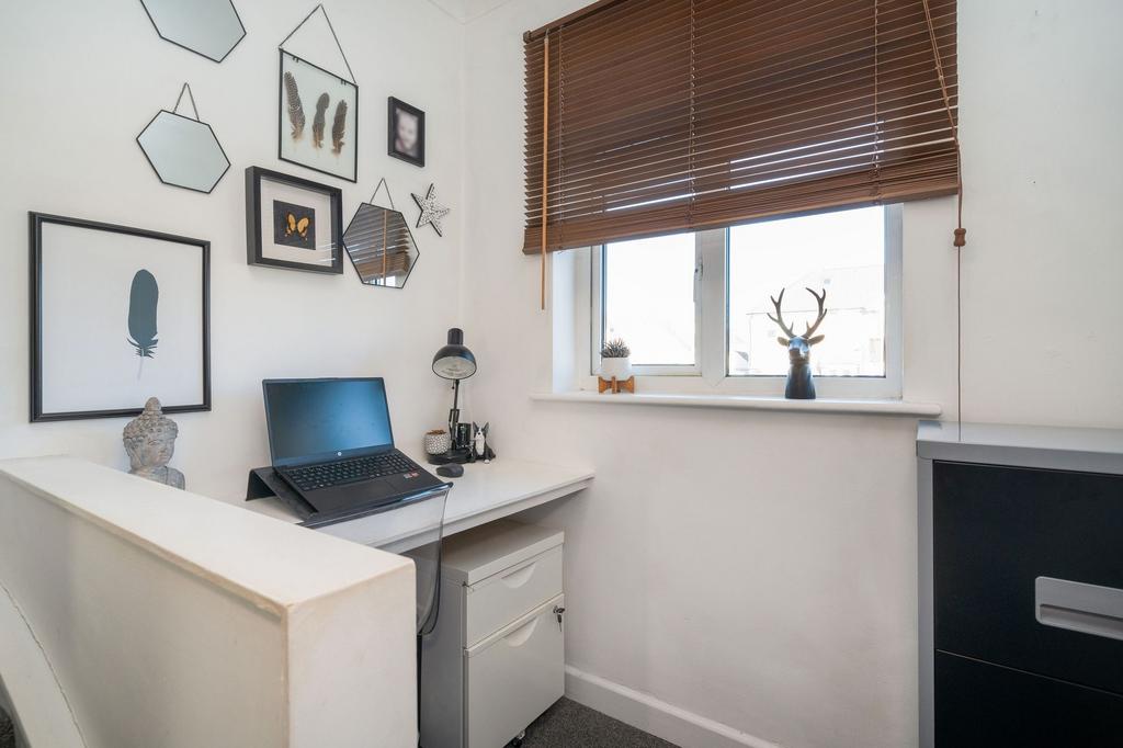 Study Area