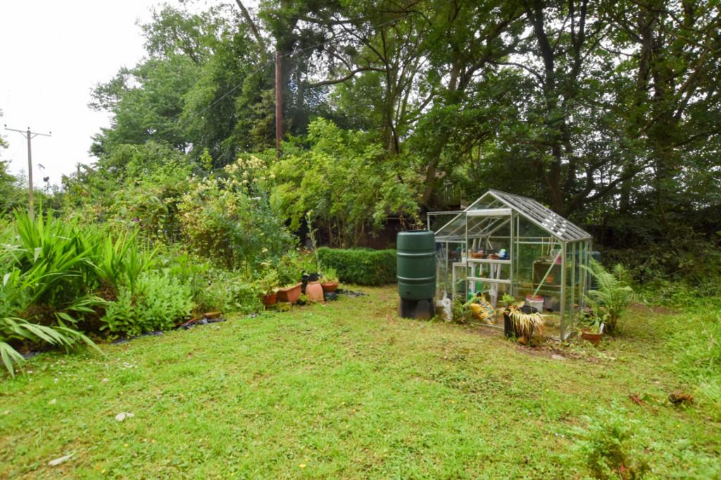 Garden 1