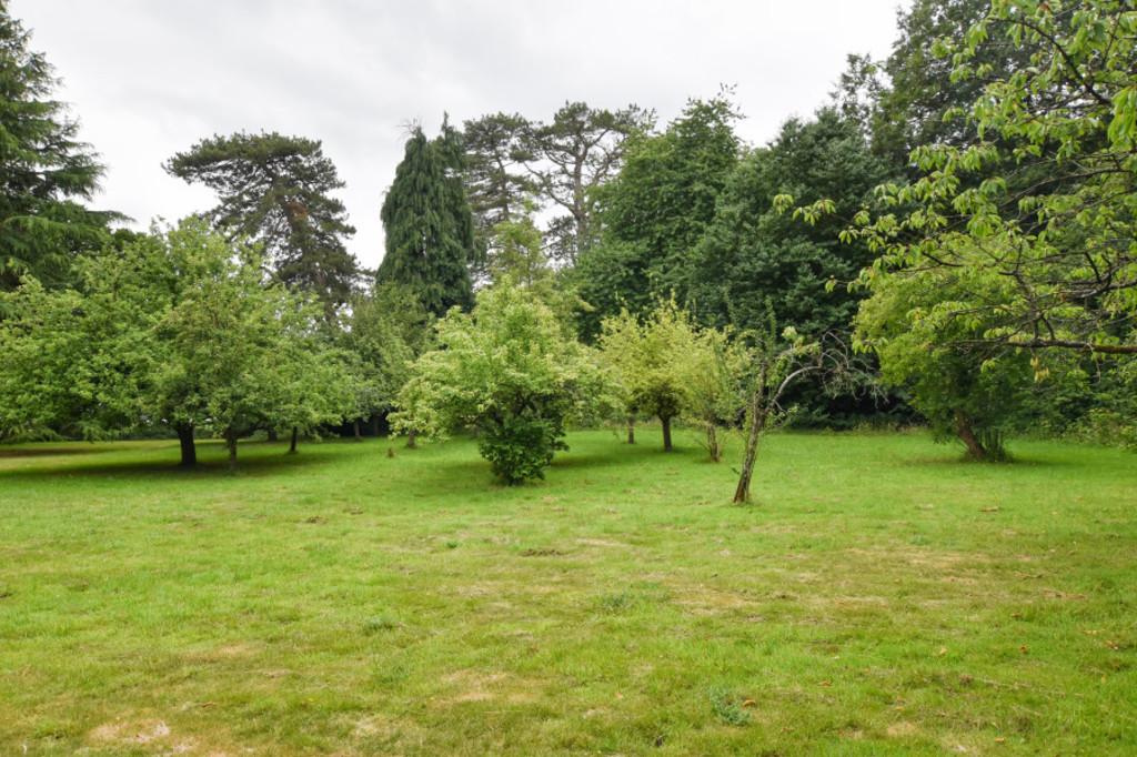Communal Park Land
