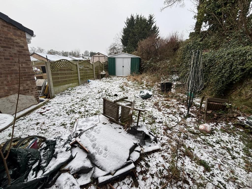 Back Garden