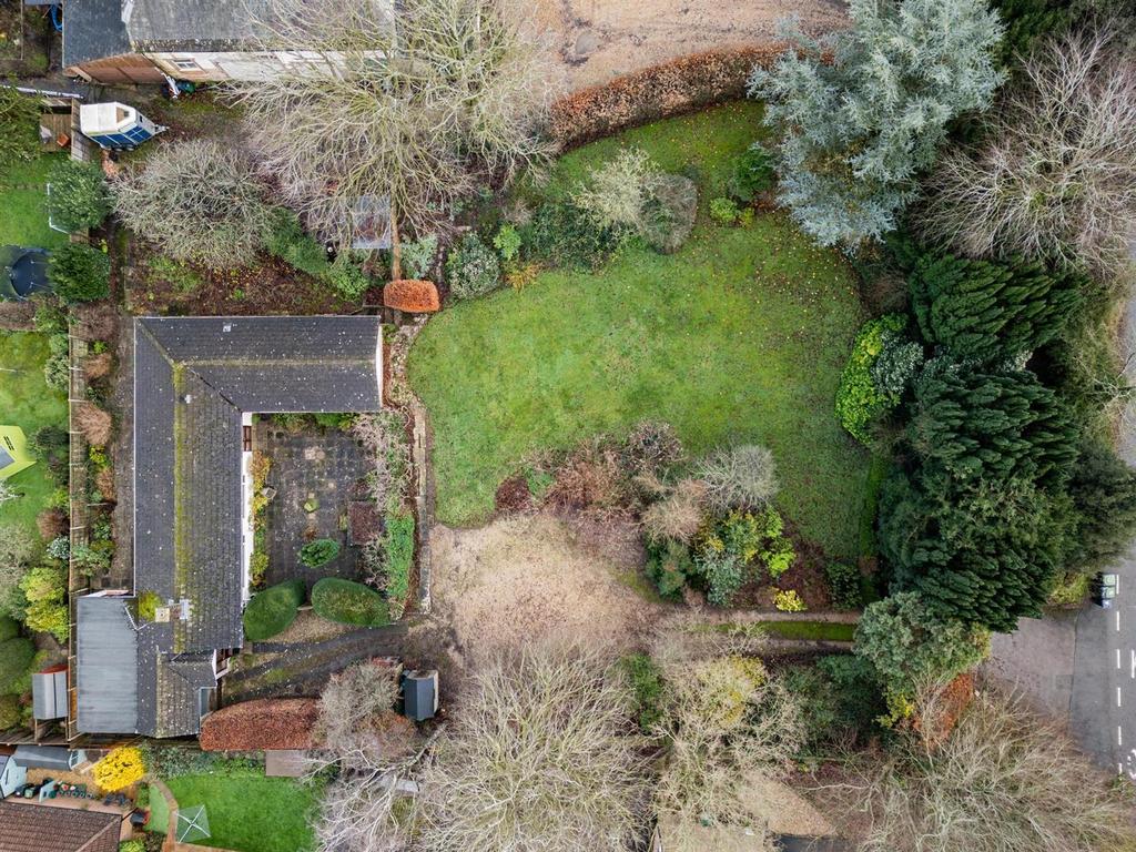 DJI 0196.jpg
