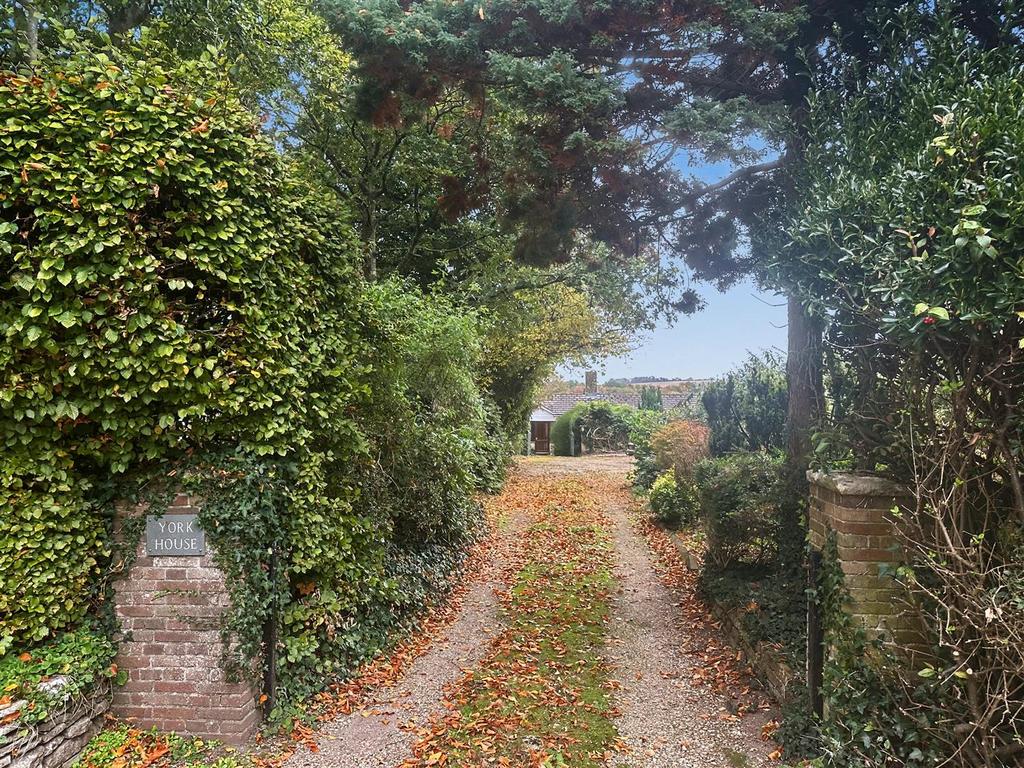 Image4 (5).jpeg