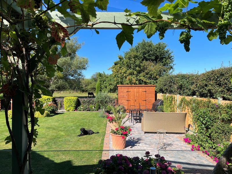 Garden from the...