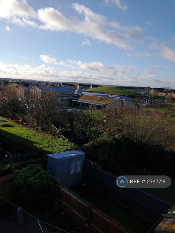 View Over Tump From Rear