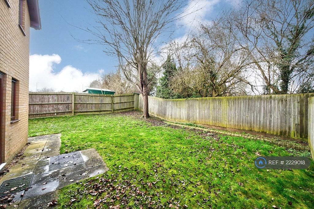 Back Garden