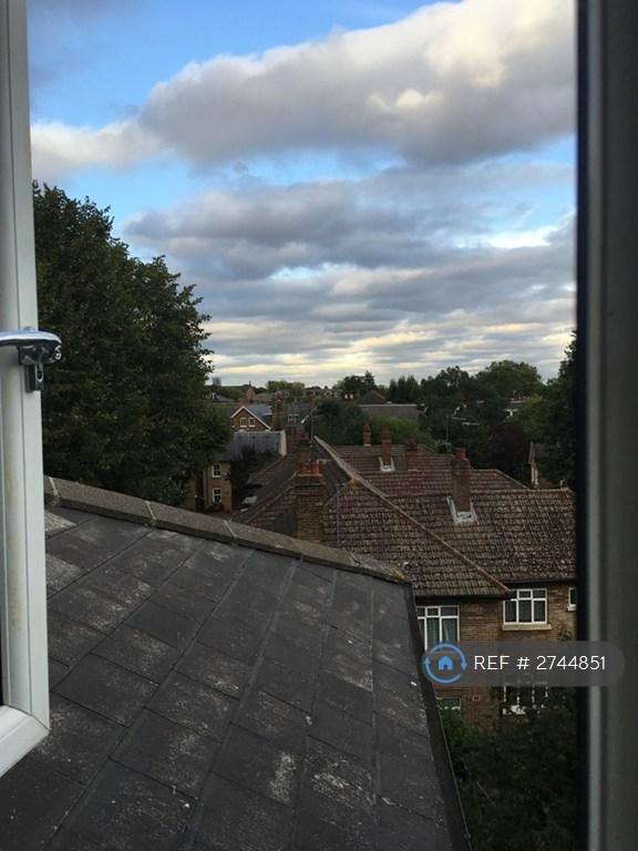 View From The Lounge