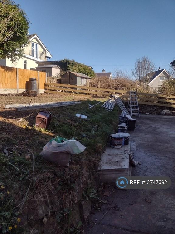 Back Garden